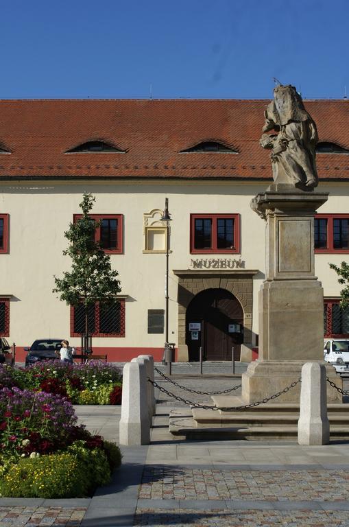Villa Letna Brandýs nad Labem-Stará Boleslav Екстериор снимка